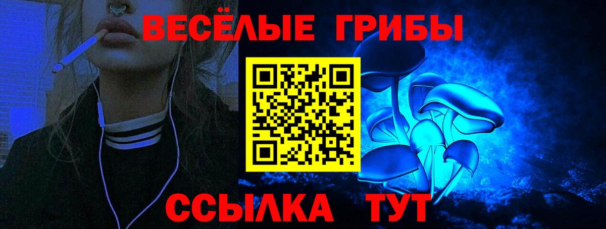 Ачхой-Мартан  Галлюциногенные грибы ЛСД  Вход с VPN 