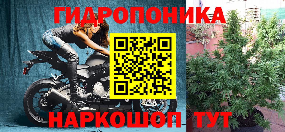 Каннабис SATIVA & INDICA  Канабис ГИДРОПОН  МАРИХУАНА план  Вход с VPN  Ачхой-Мартан 